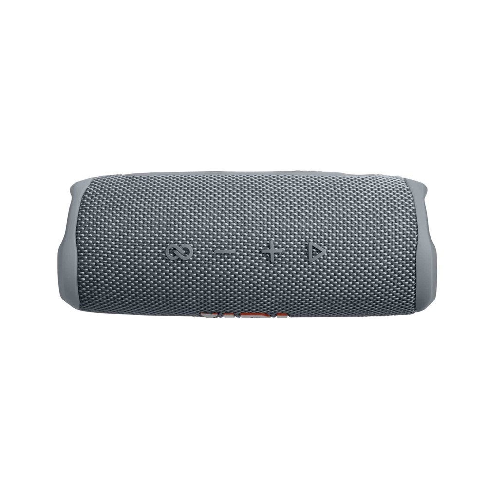 JBL Flip 6 Gray