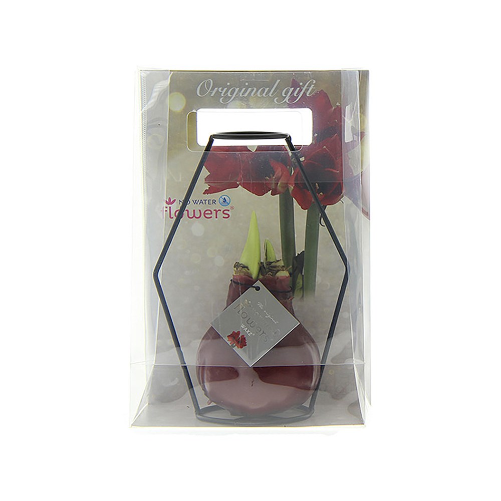 No Water Flowers® - Formz modern, Ohne Verpackung, Pastelllila