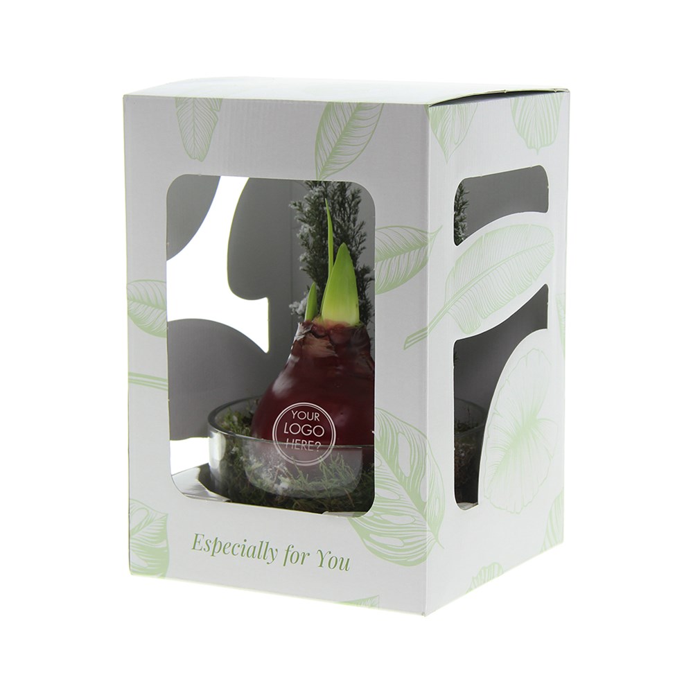 No Water Flowers® - Christmas glass elegance, In Geschenkbox, Bordeaux