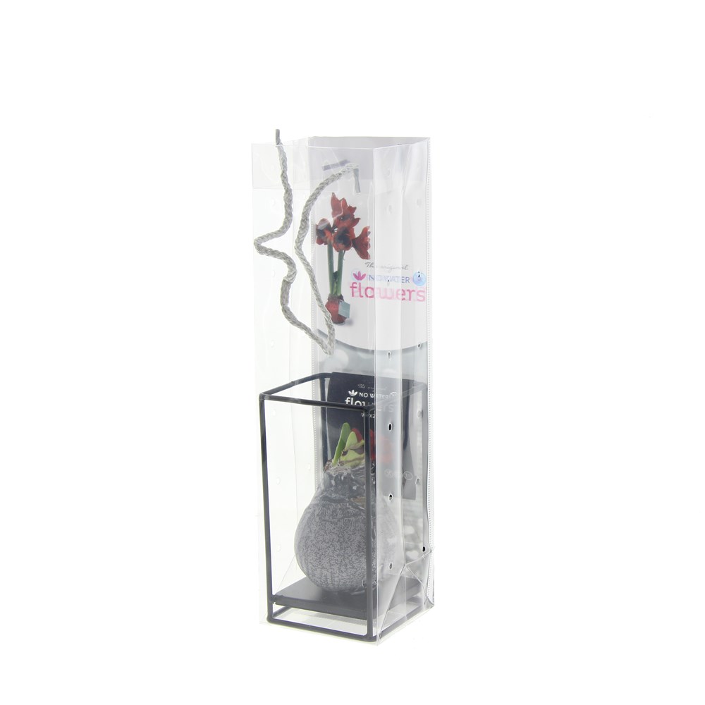No Water Flowers® - Formz industrial, In Geschenkbox, Weiß