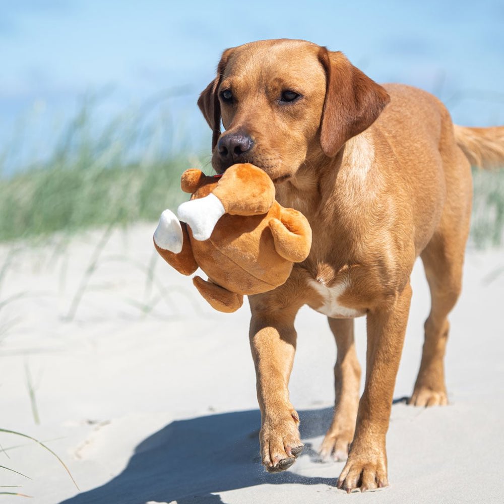 Hundespielzeug Hähnchen, braun, one size